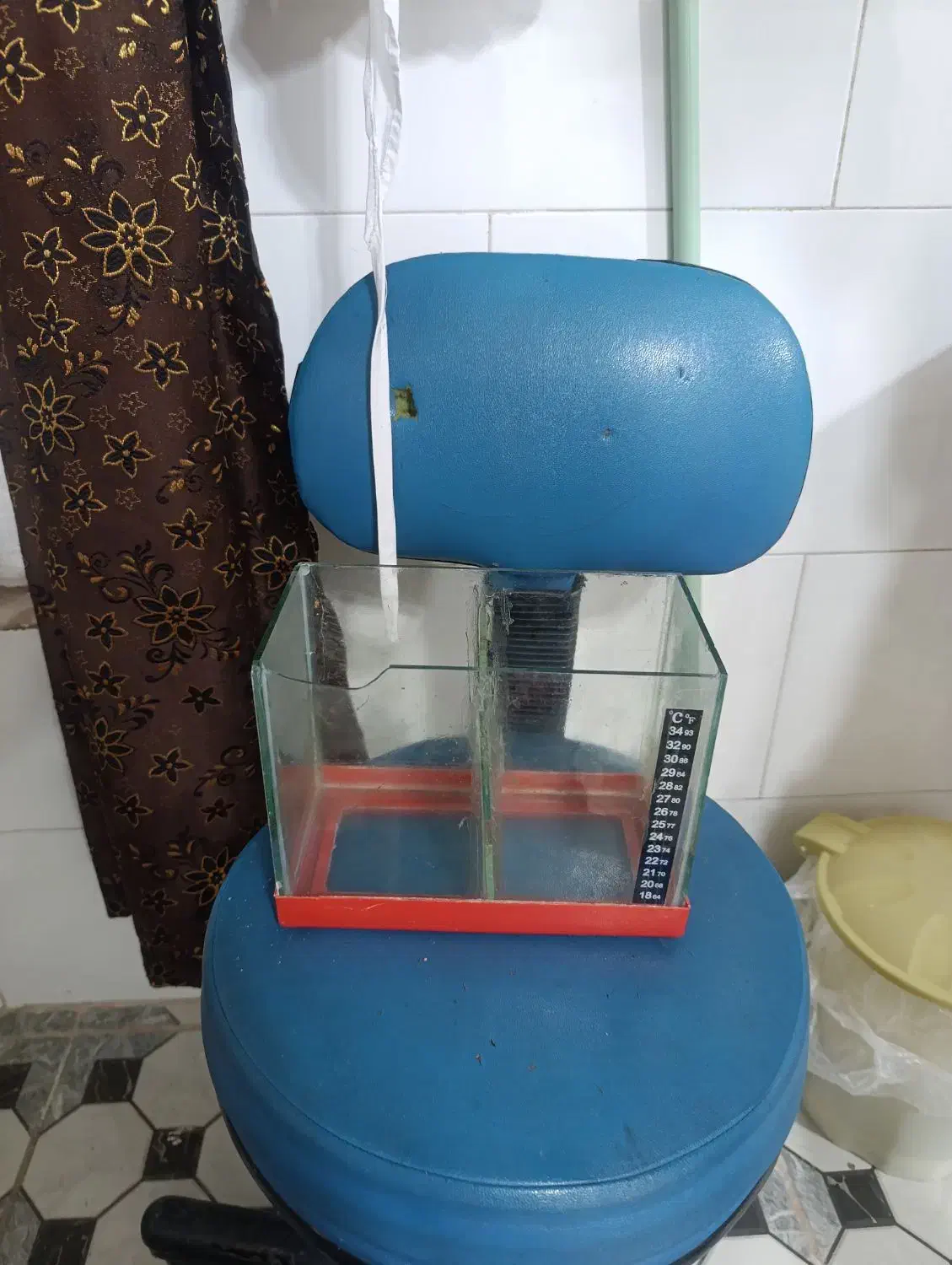 چند عدد آکواریوم و وسایل|حراج|اقبالیه, |دیوار