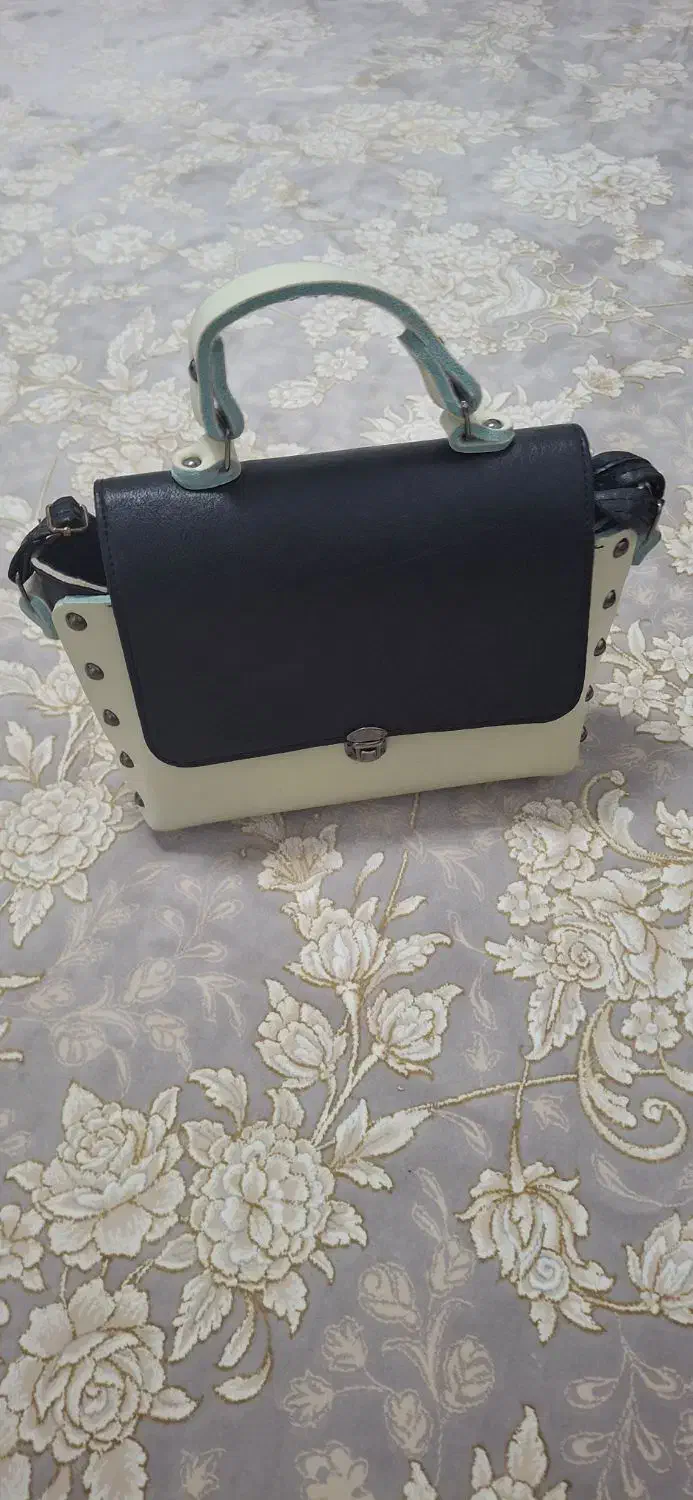 کیف در حد نو|کیف، کفش، کمربند|تربت‌حیدریه, داروپخش|دیوار