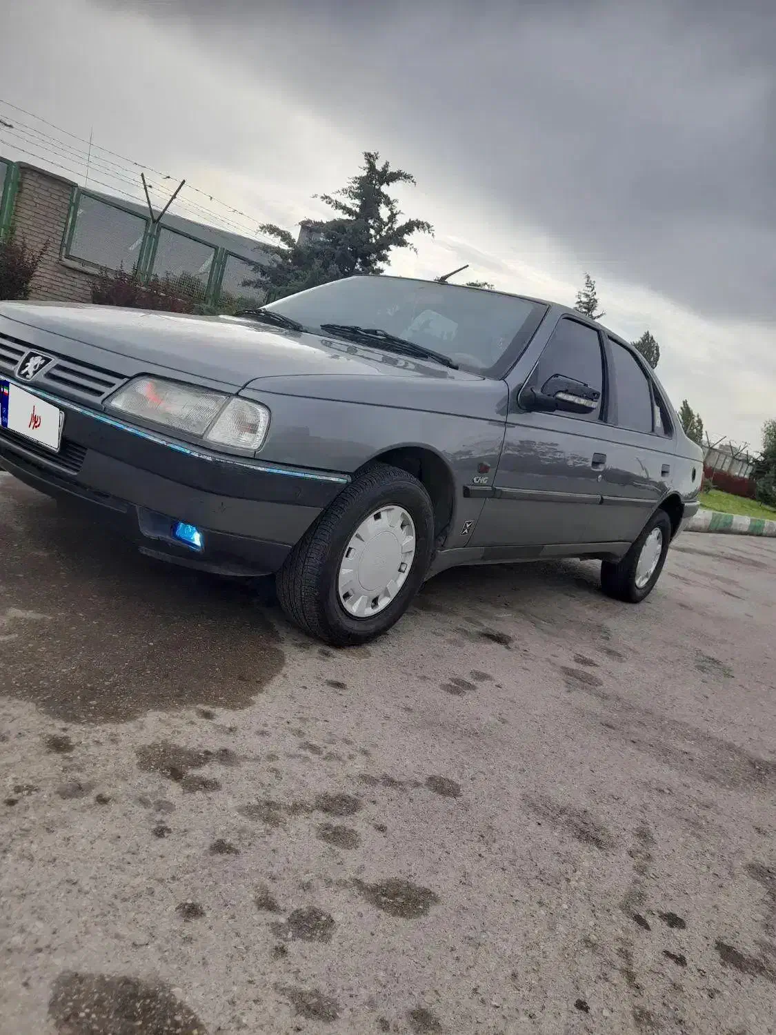 پژو 405 دوگانه کارخانه مدل ۹۱ عتیقه|خودرو سواری و وانت|اردبیل, |دیوار