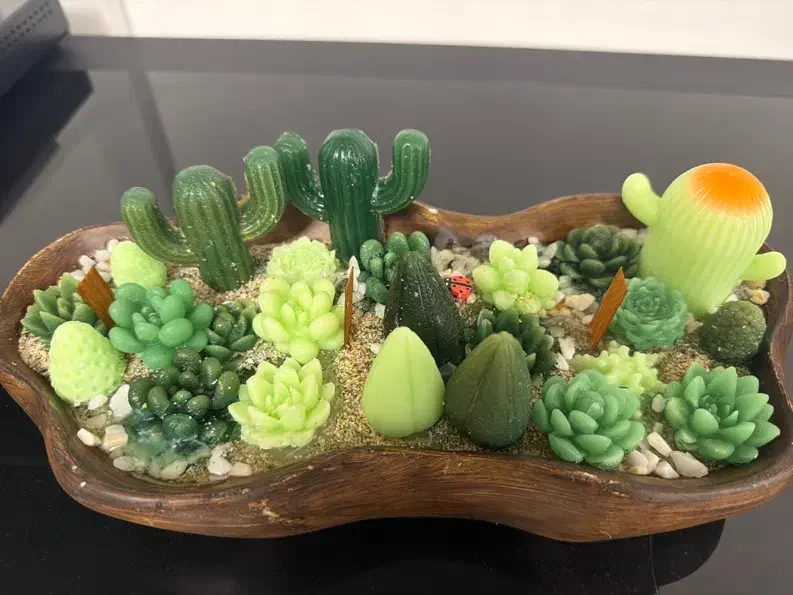 شمع پینترسی|صنایع دستی و سایر لوازم تزئینی|رشت, دیلمان|دیوار