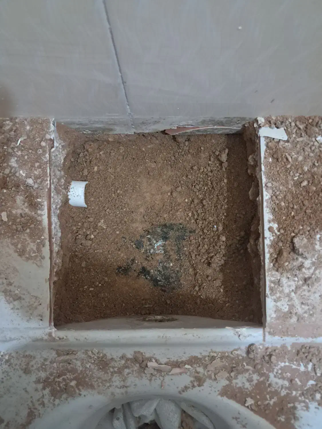 پیکور تخریب حرفه ای|خدمات پیشه و مهارت|صدرا-فارس, فاز ۱|دیوار