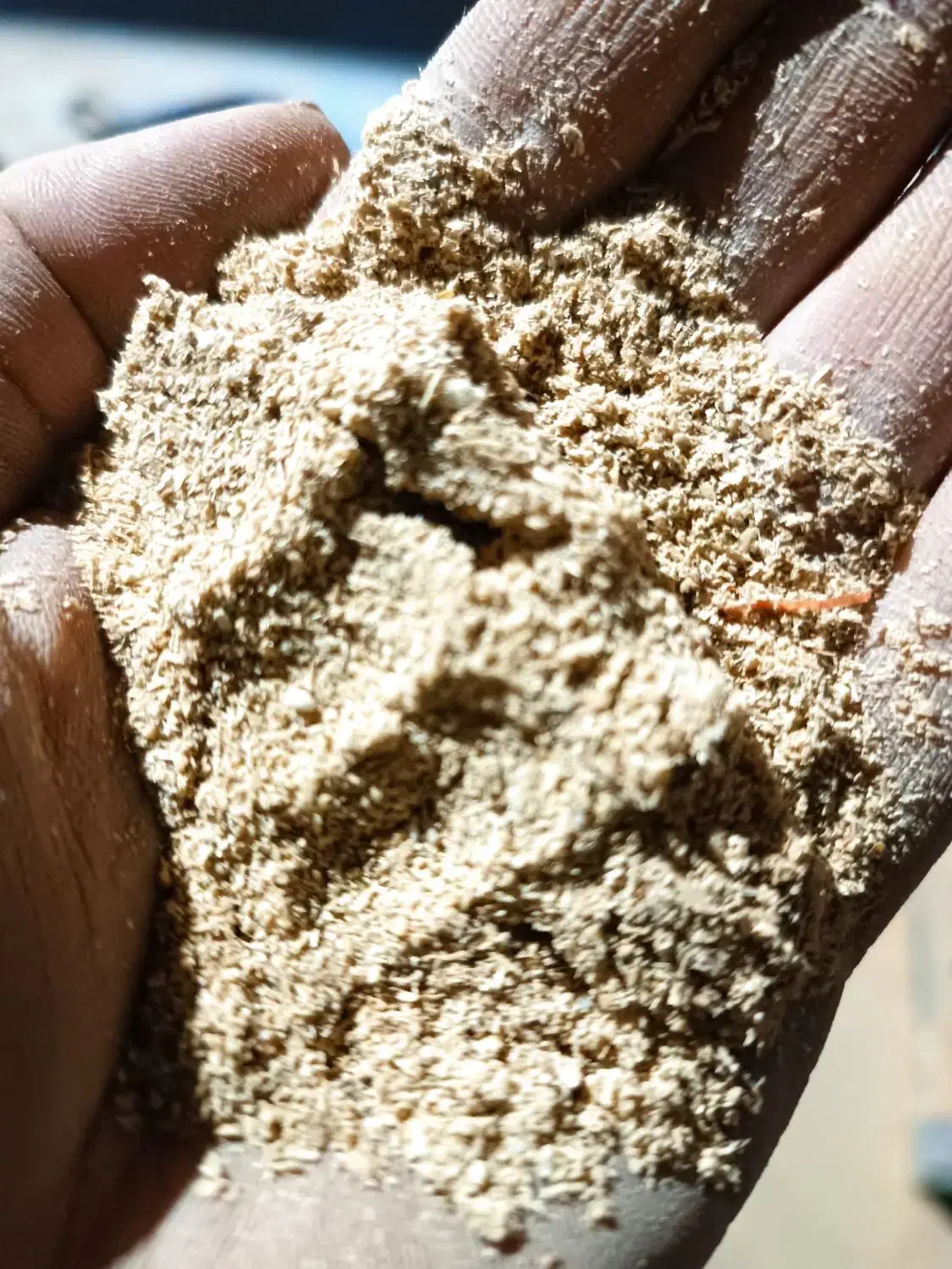 سبوس برنج برای دام|حیوانات مزرعه|ماهیدشت, |دیوار