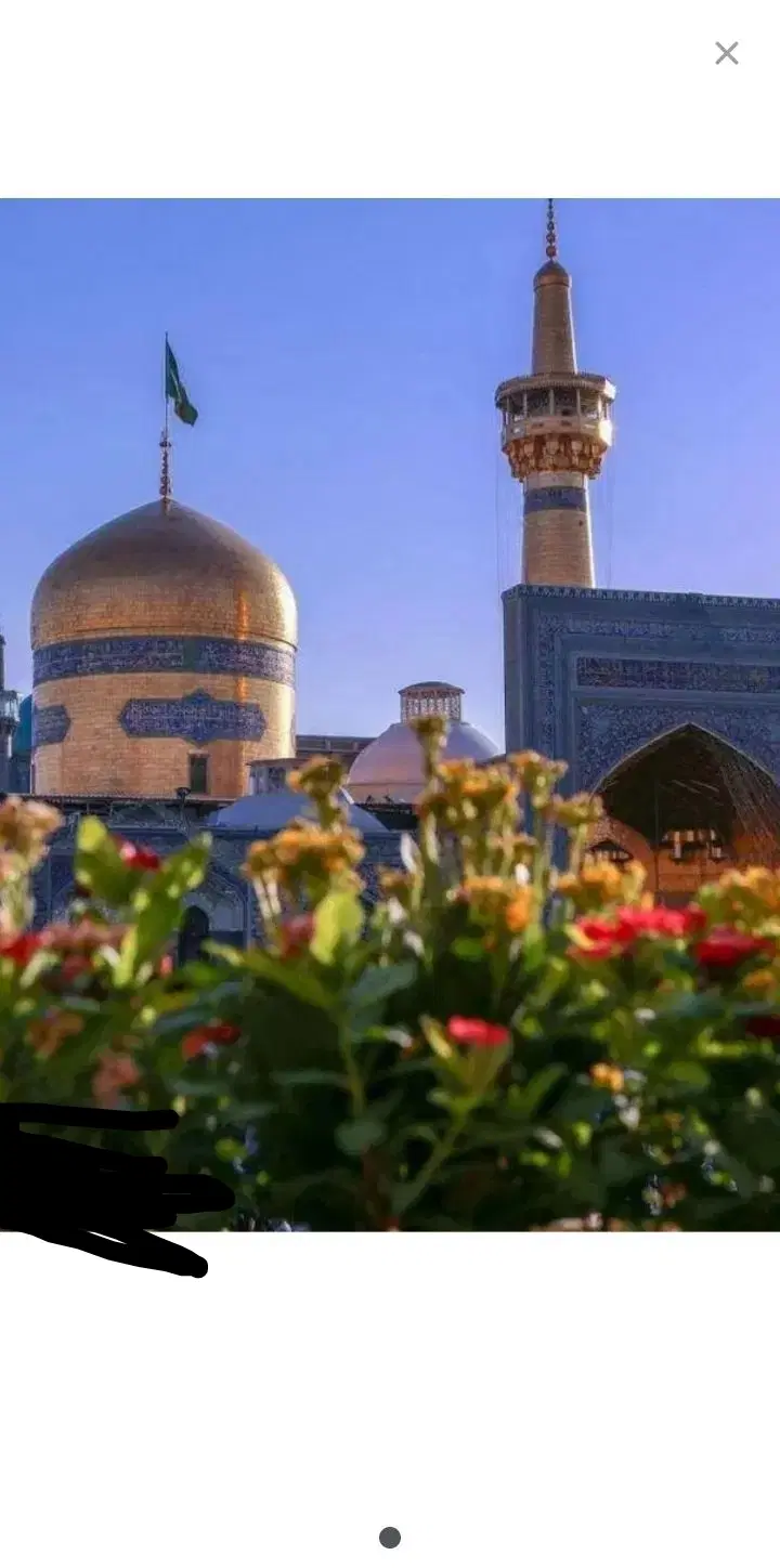مشهد|تور و چارتر|جیرفت, |دیوار