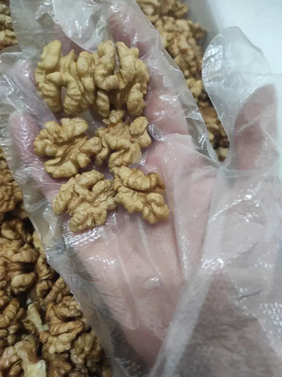 مغز گردو سفید درجه یک|خوردنی و آشامیدنی|فشاپویه, |دیوار