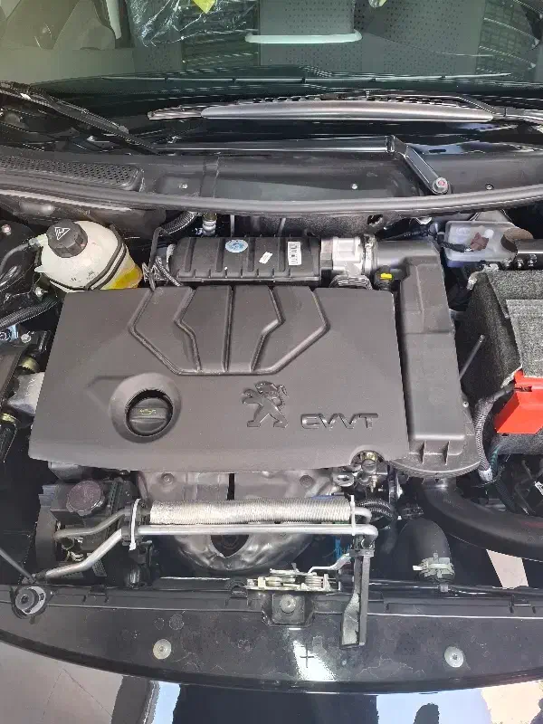 207 تیوفایو پلاس TU5P|خودرو سواری و وانت|شیراز, باغ تخت|دیوار