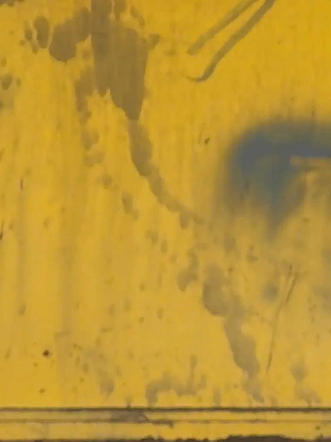 وام ازدواج|خدمات مالی، حسابداری، بیمه|خواف, |دیوار