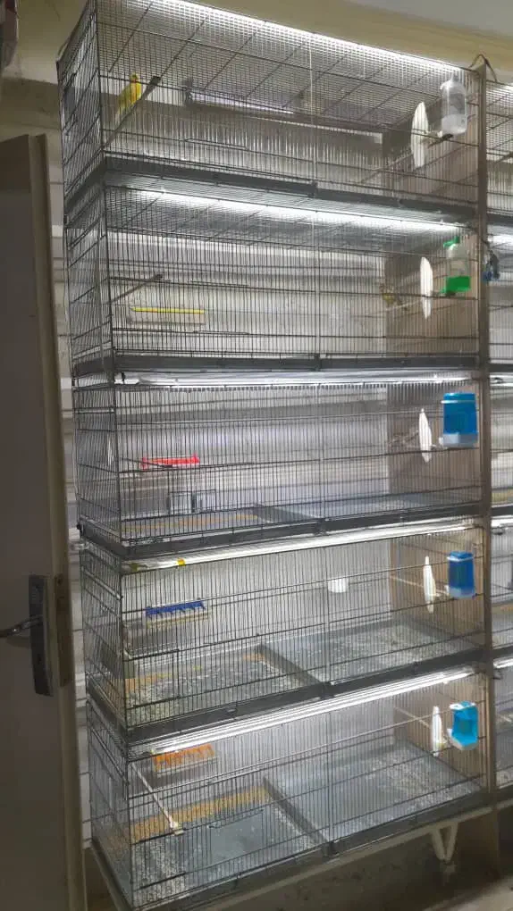 هشت خان غلامی|لوازم جانبی حیوانات|شاهدشهر, |دیوار