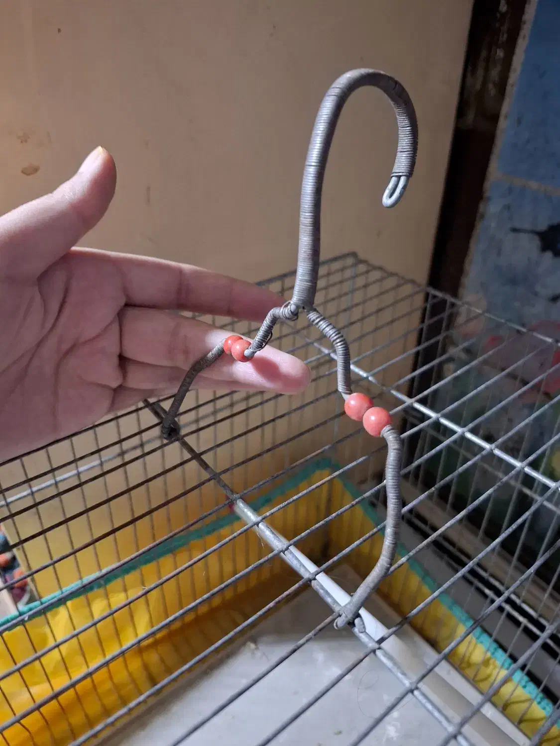 قفس پرنده|لوازم جانبی حیوانات|کرمانشاه, |دیوار