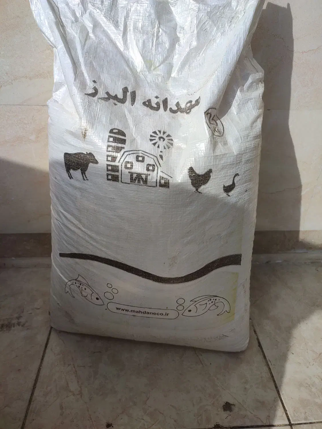 دان مرغ|لوازم جانبی حیوانات|باغستان, |دیوار