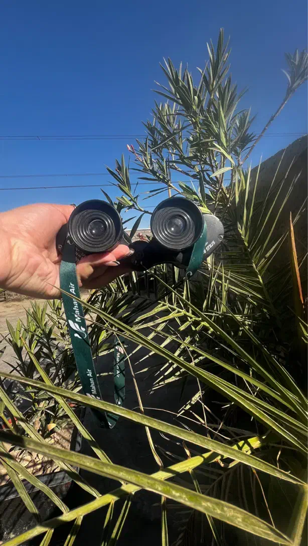 دوربین دوچشمی بایکیش مدل 8X30M|دوربین عکاسی و فیلمبرداری|مشهد, ارمغان|دیوار