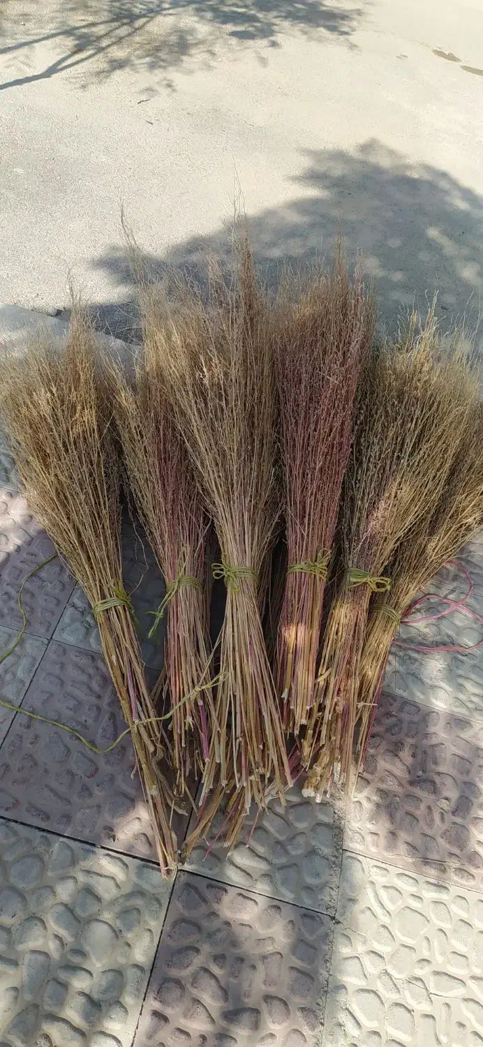 جارو|اسباب‌‌بازی|لردگان, |دیوار