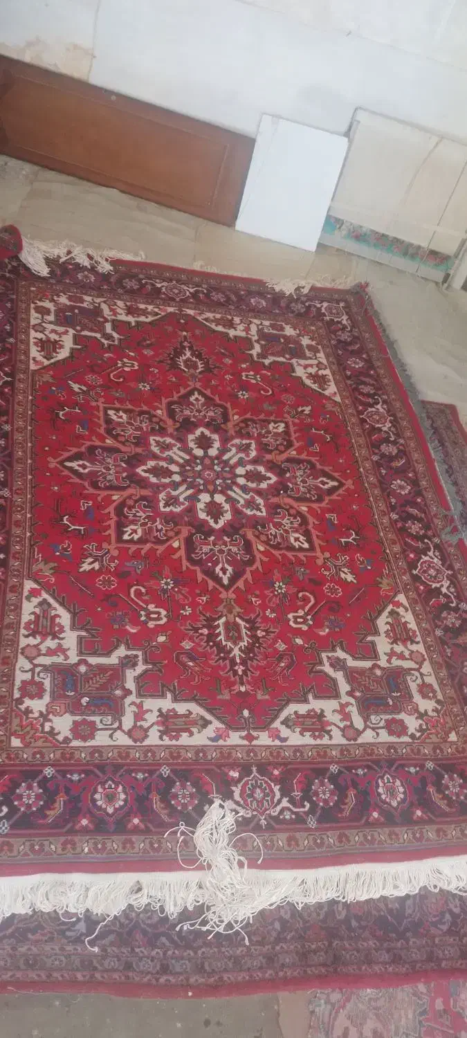 فرش دست باف ۶ متری یک تخته|فرش|اسکو, |دیوار