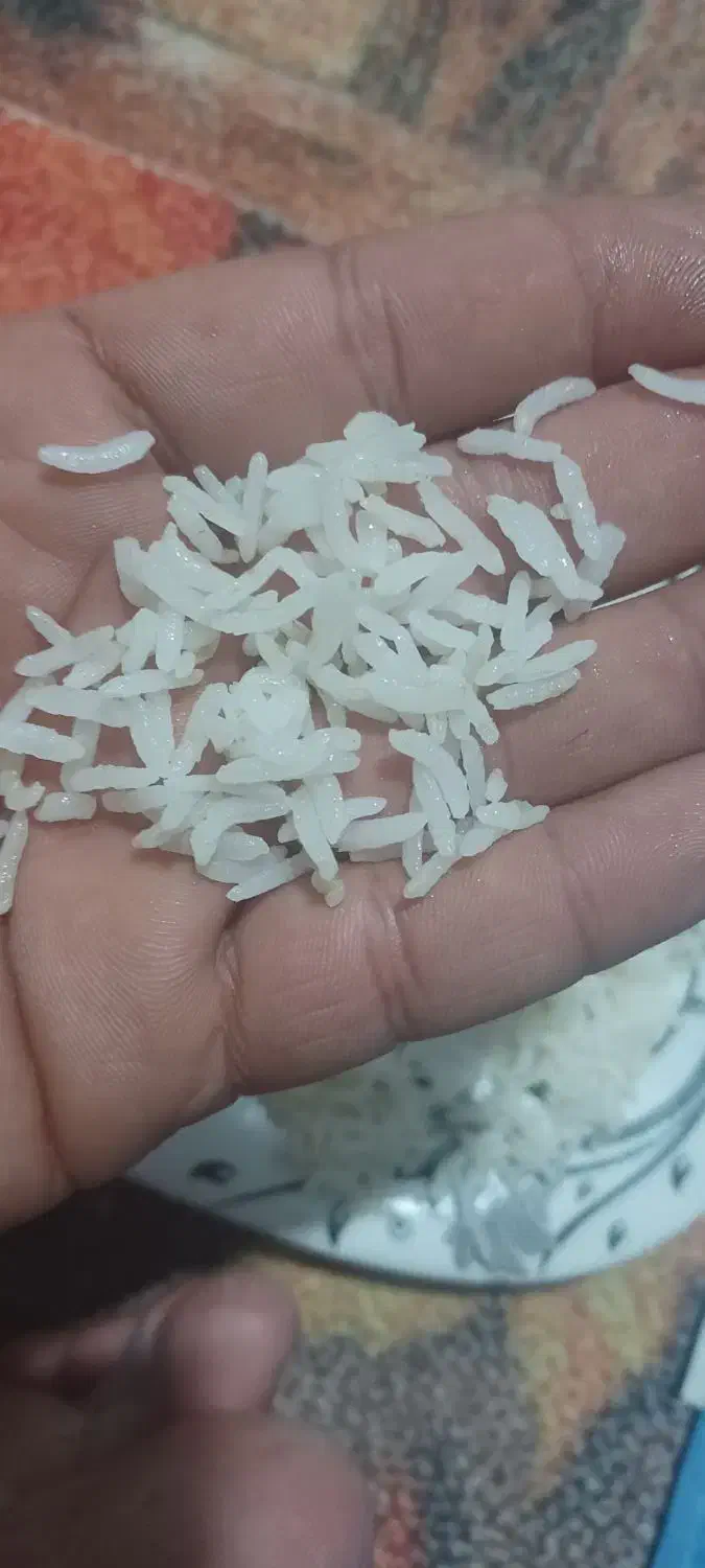 برنج کامفیروزی|خوردنی و آشامیدنی|بانش, |دیوار