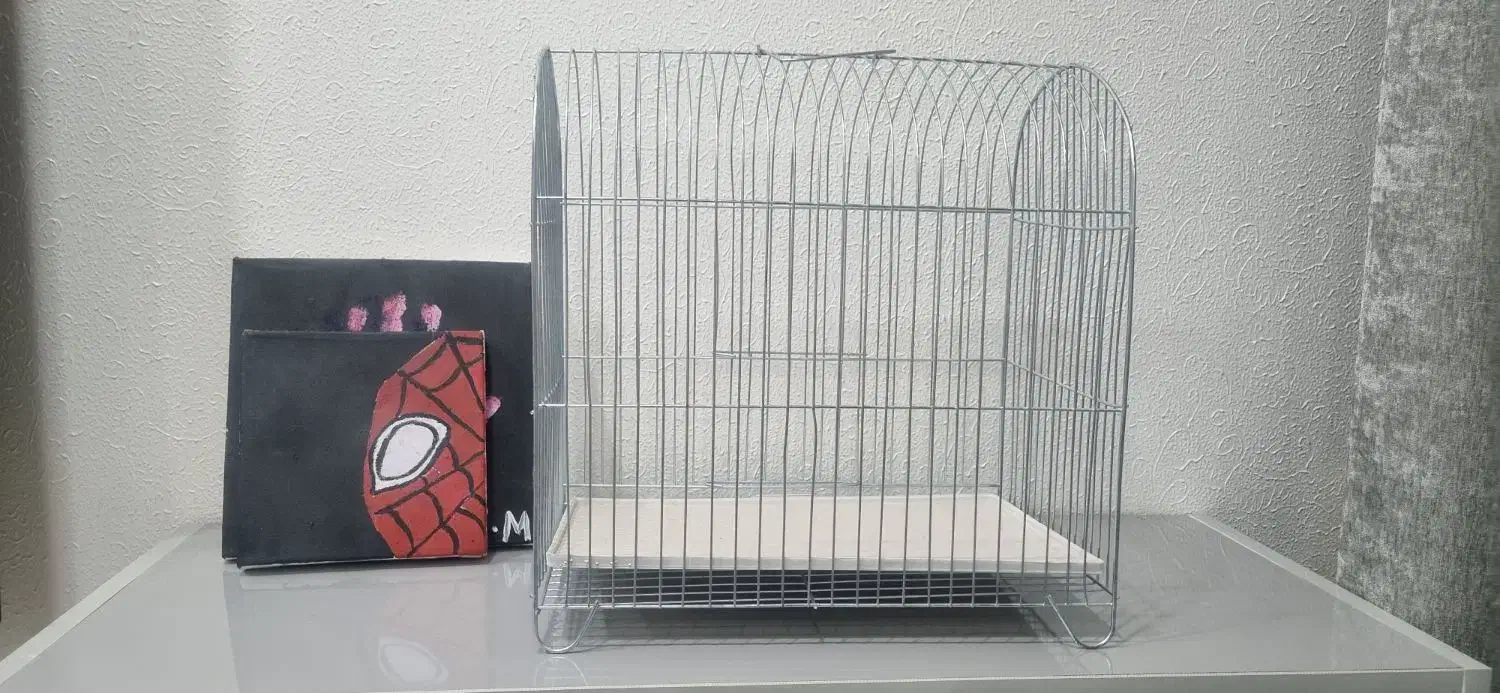 قفس پرنده|لوازم جانبی حیوانات|فولادشهر, B5|دیوار