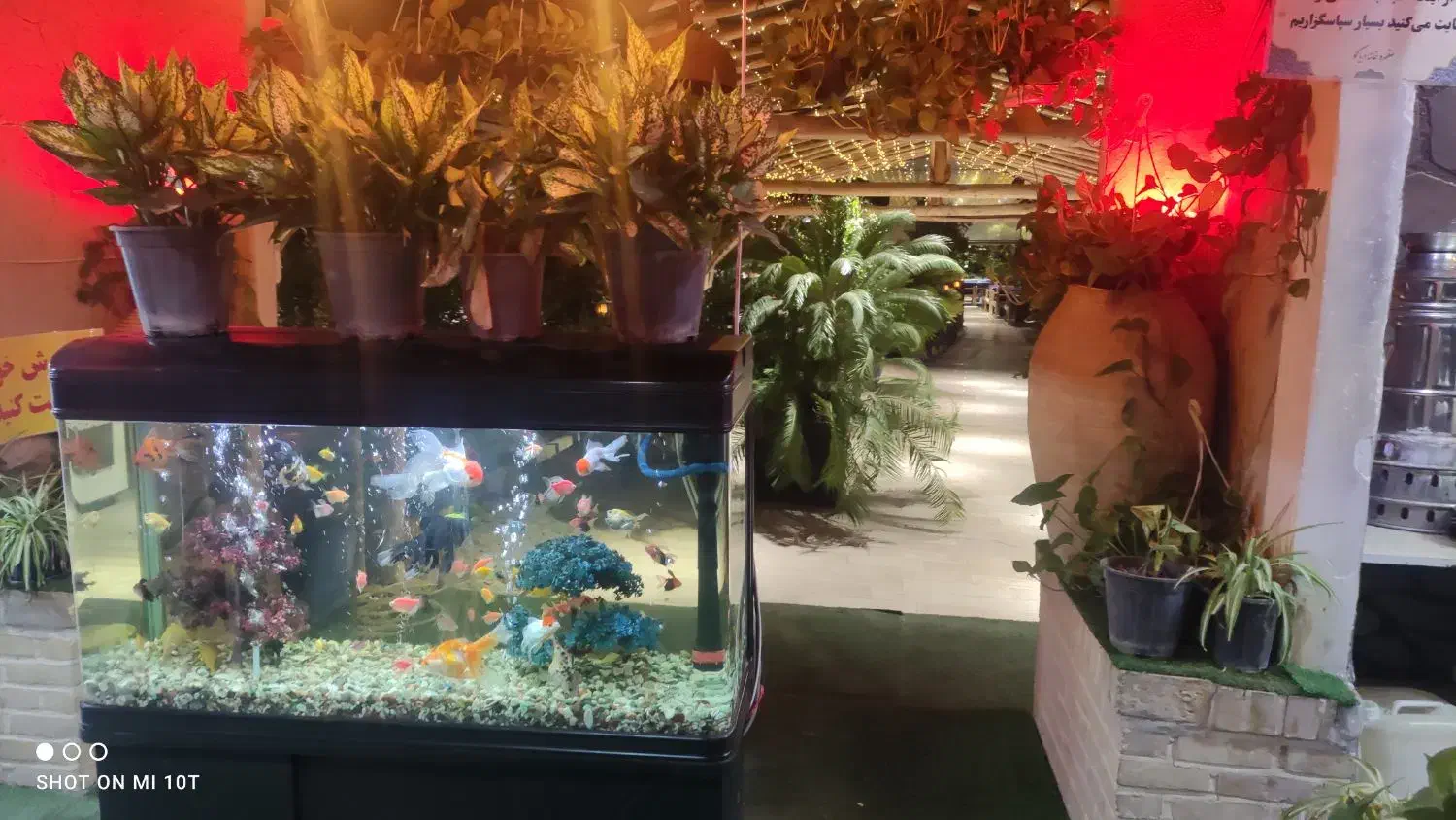 سرای سنتی دیاکو|استخدام خدمات فروشگاه و رستوران|کاشان, فین کوچک|دیوار