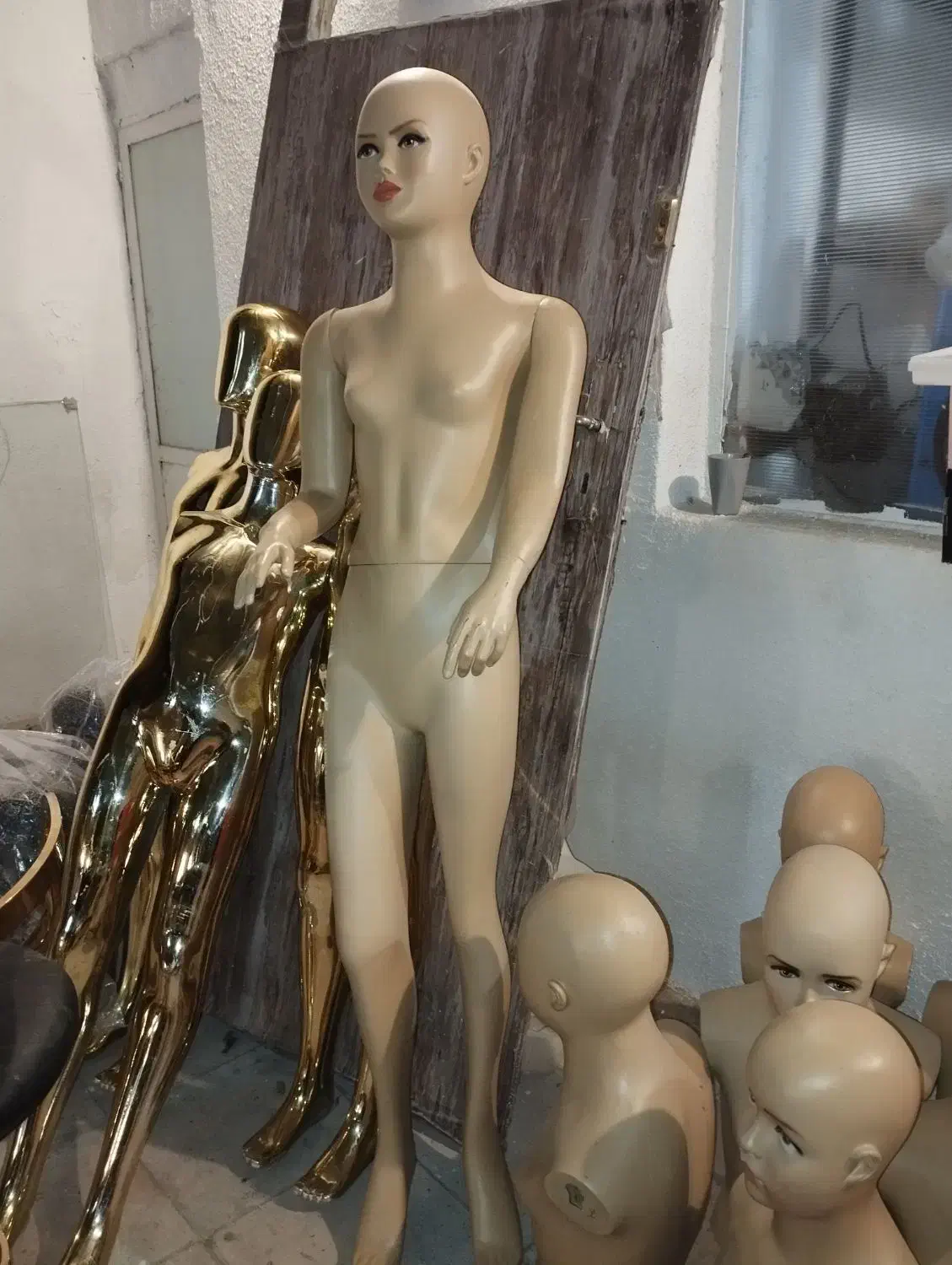 مانکن بچه گانه و زنانه|فروشگاه و مغازه|شیراز, سینما سعدی|دیوار