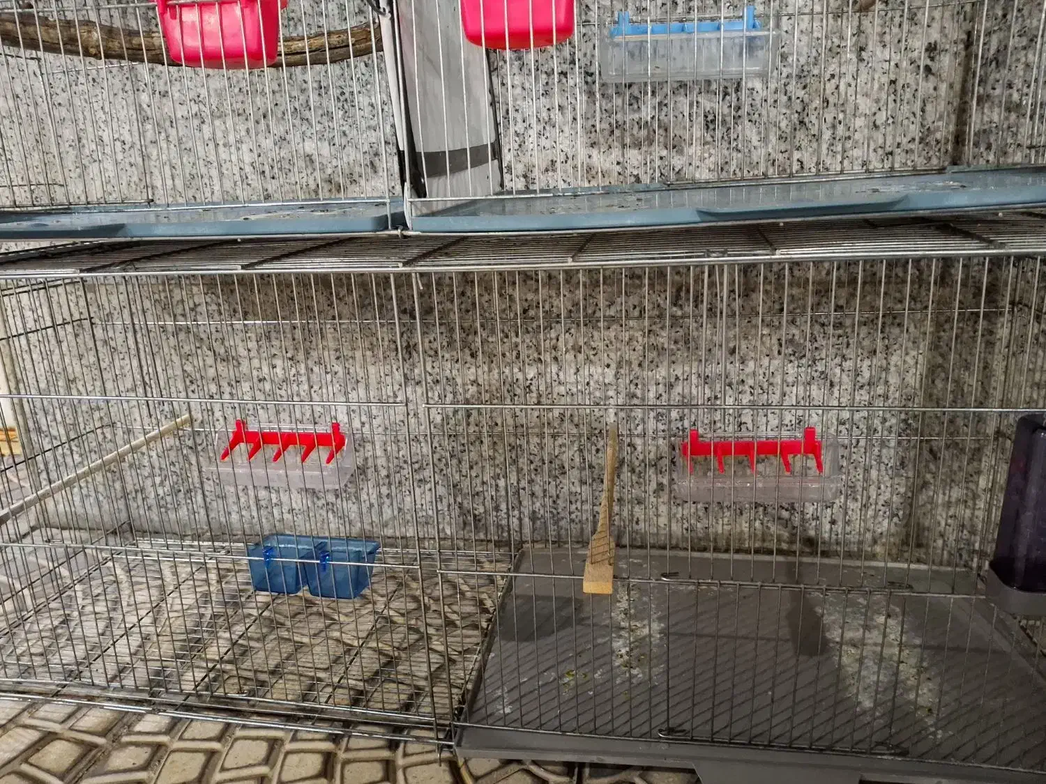 قفس جوجه پران|لوازم جانبی حیوانات|ارومیه, |دیوار