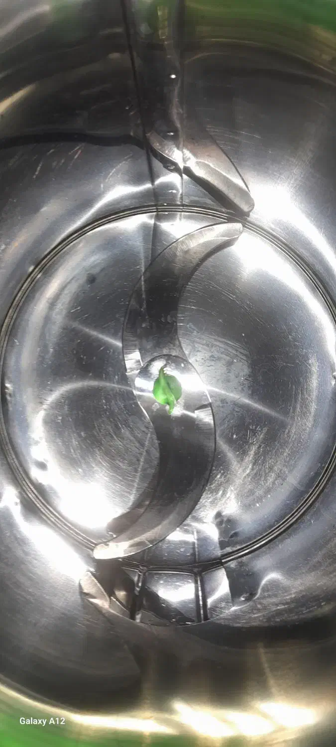 خردکنسبزینوبل|خردکن، آسیاب، غذاساز|اردبیل, |دیوار