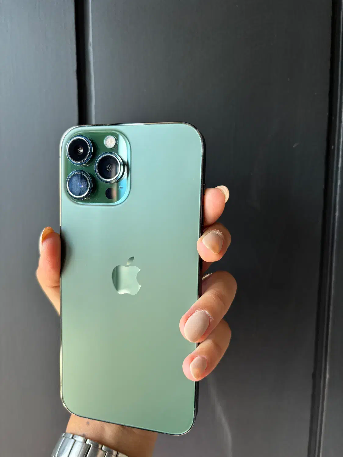 آیفون ۱۳ پرومکس ۲۵۶/iPhone 13promax|موبایل|مشهد, سجاد شهر|دیوار