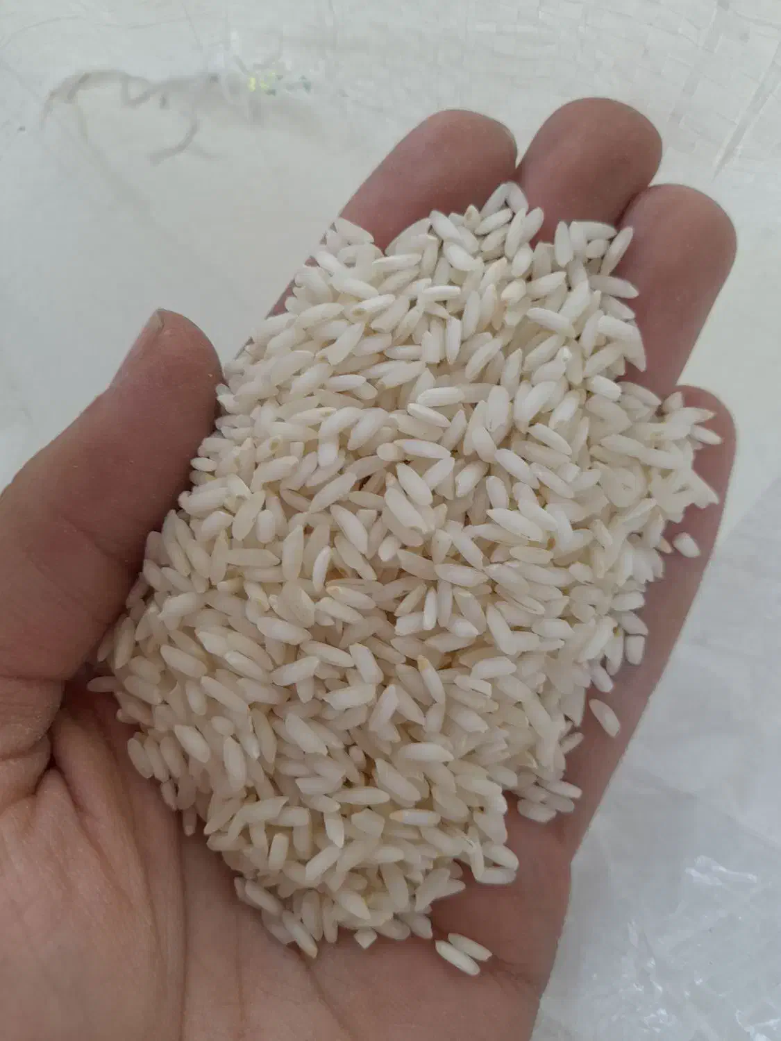 برنج عنبربو|خوردنی و آشامیدنی|رباط‌کریم, نصیرشهر|دیوار