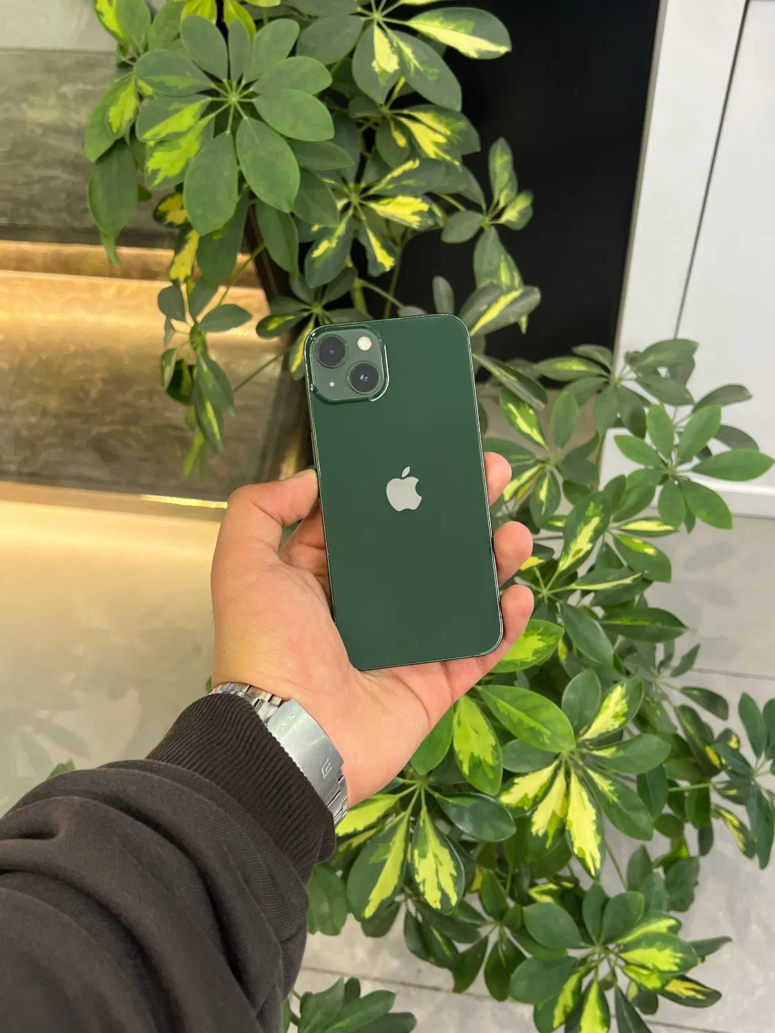 iPhone 13 normal 128|موبایل|مشهد, بهشت|دیوار
