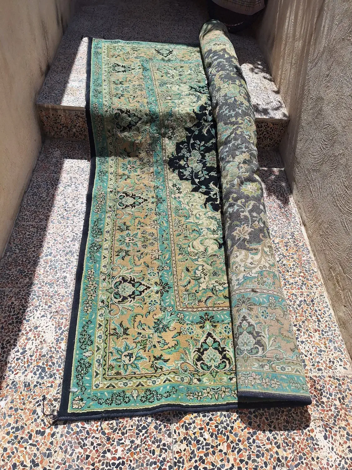 قالی ۱۲ متری|فرش|شیراز, دشت چنار|دیوار