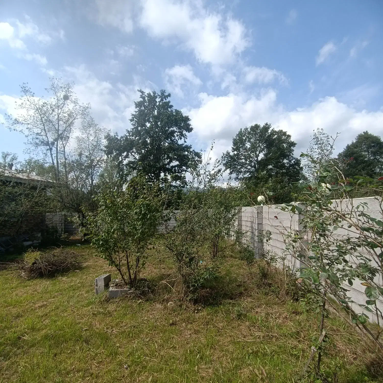 ویلای ۵۰۰متری سند تک برگ|فروش خانه و ویلا|رضوانشهر, |دیوار