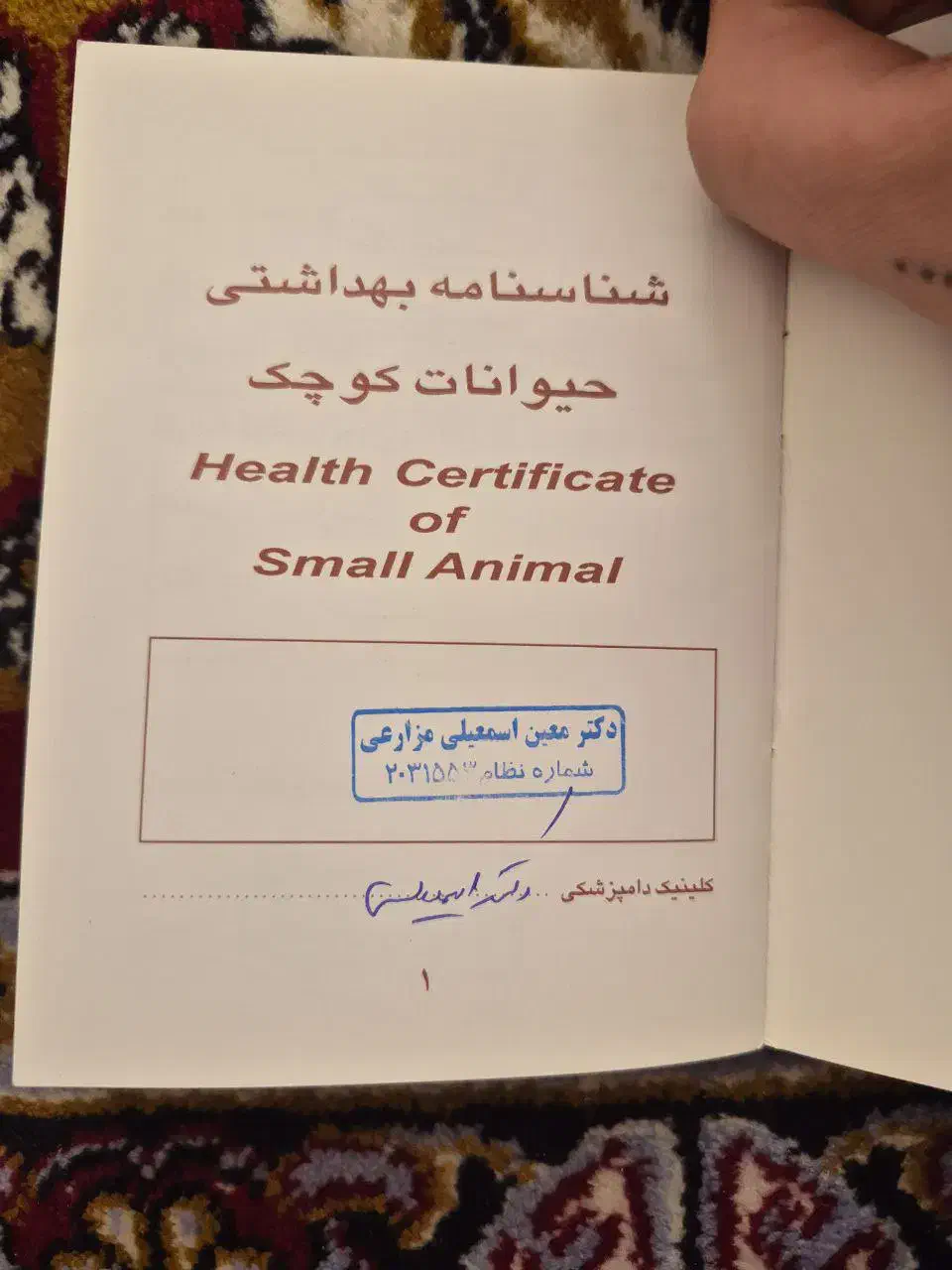 سگ فروشی|سگ|نیشابور, مدرس|دیوار