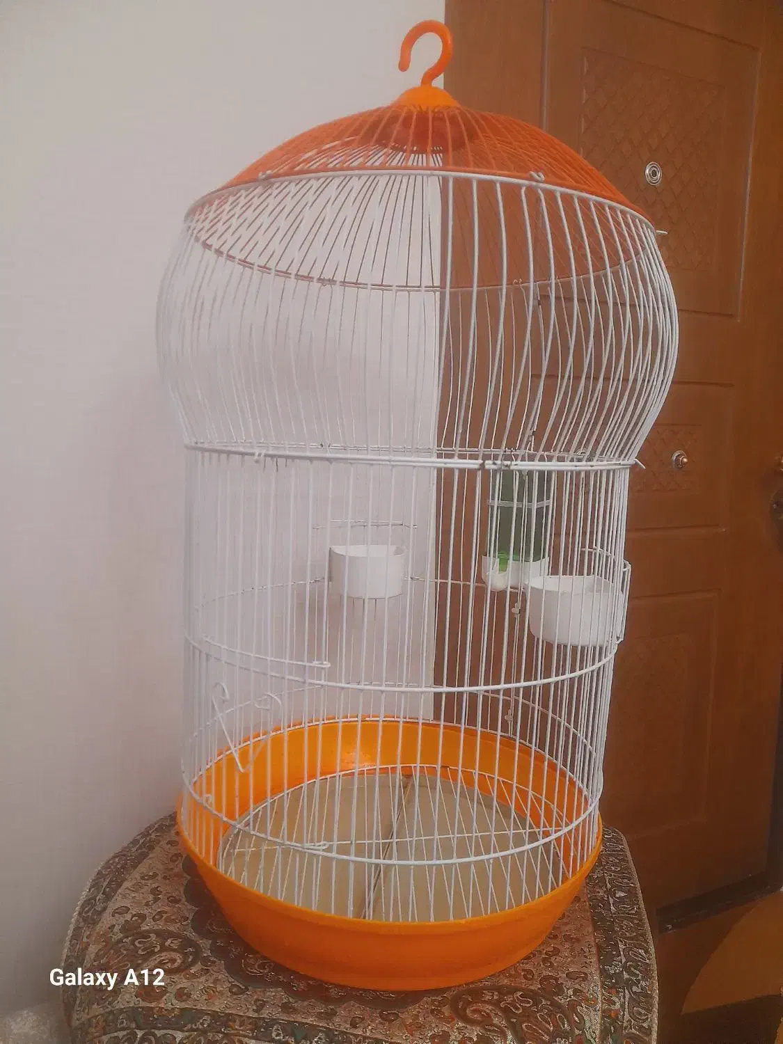 قفس پرنده|لوازم جانبی حیوانات|پرند, فاز ۱|دیوار