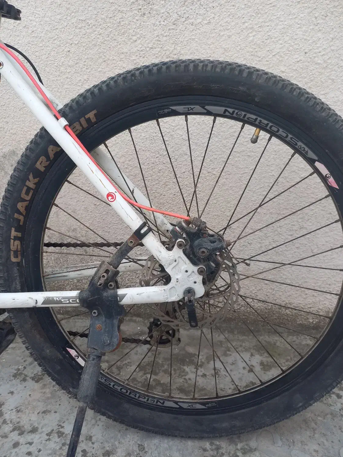 دوچرخه|دوچرخه، اسکیت، اسکوتر|هادی شهر, |دیوار