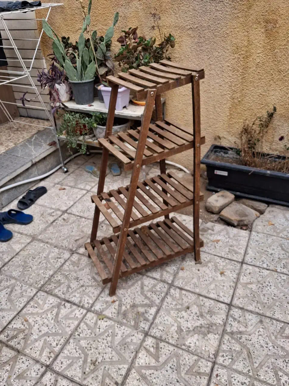 گلدان|گل و گیاه طبیعی|اصفهان, همت‌آباد|دیوار