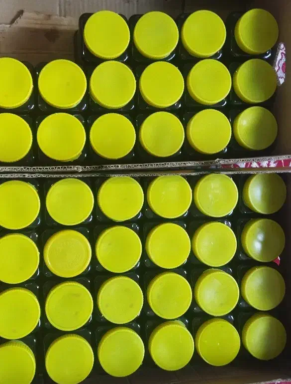 عسل طبیعی|خوردنی و آشامیدنی|مشگین شهر, |دیوار