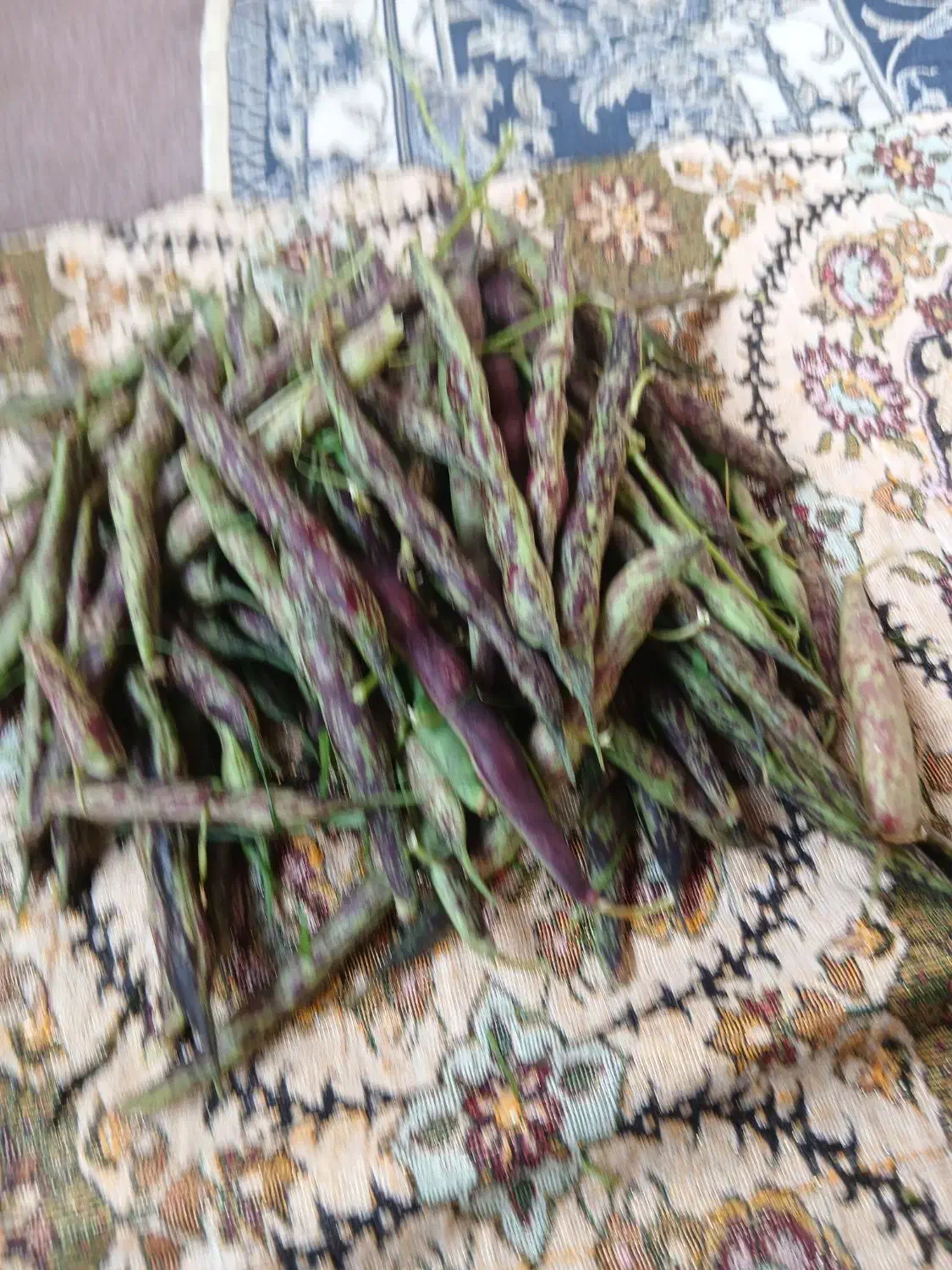 خوردنی اشامیدنی|خوردنی و آشامیدنی|طاهرگوراب, |دیوار