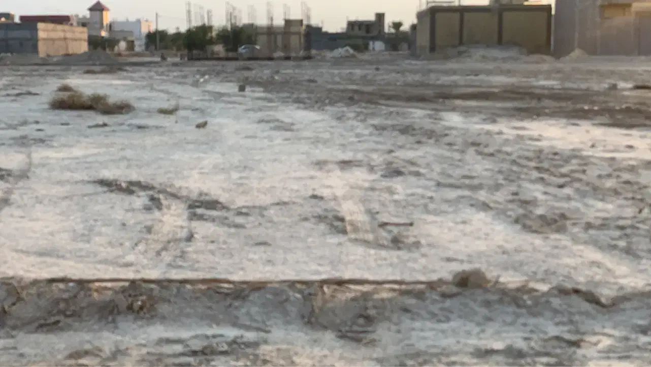 خیابان افشار کوچه ۱۸|فروش زمین و ملک کلنگی|لامرد, |دیوار