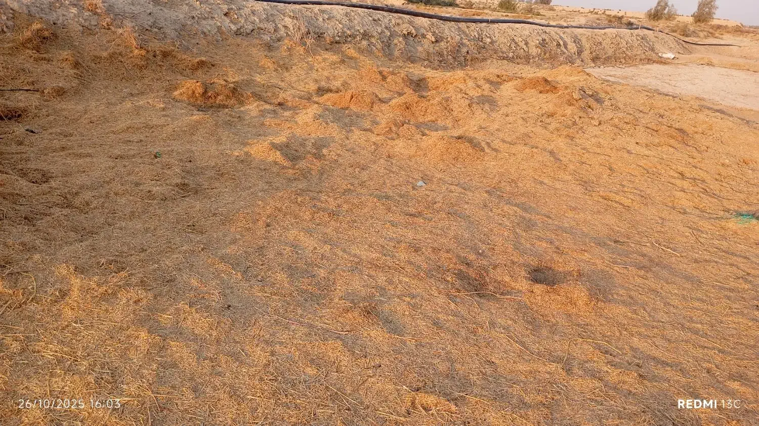 گاه زرد برای کاه گل|عمدهفروشی|زابل, |دیوار