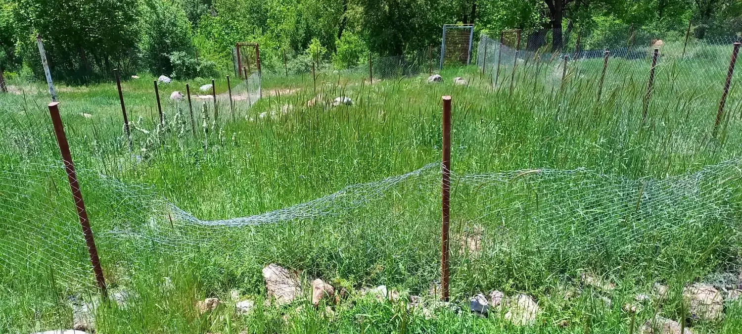 زمین چسب بافت روستای مرجان طالقان|فروش زمین و ملک کلنگی|طالقان, |دیوار