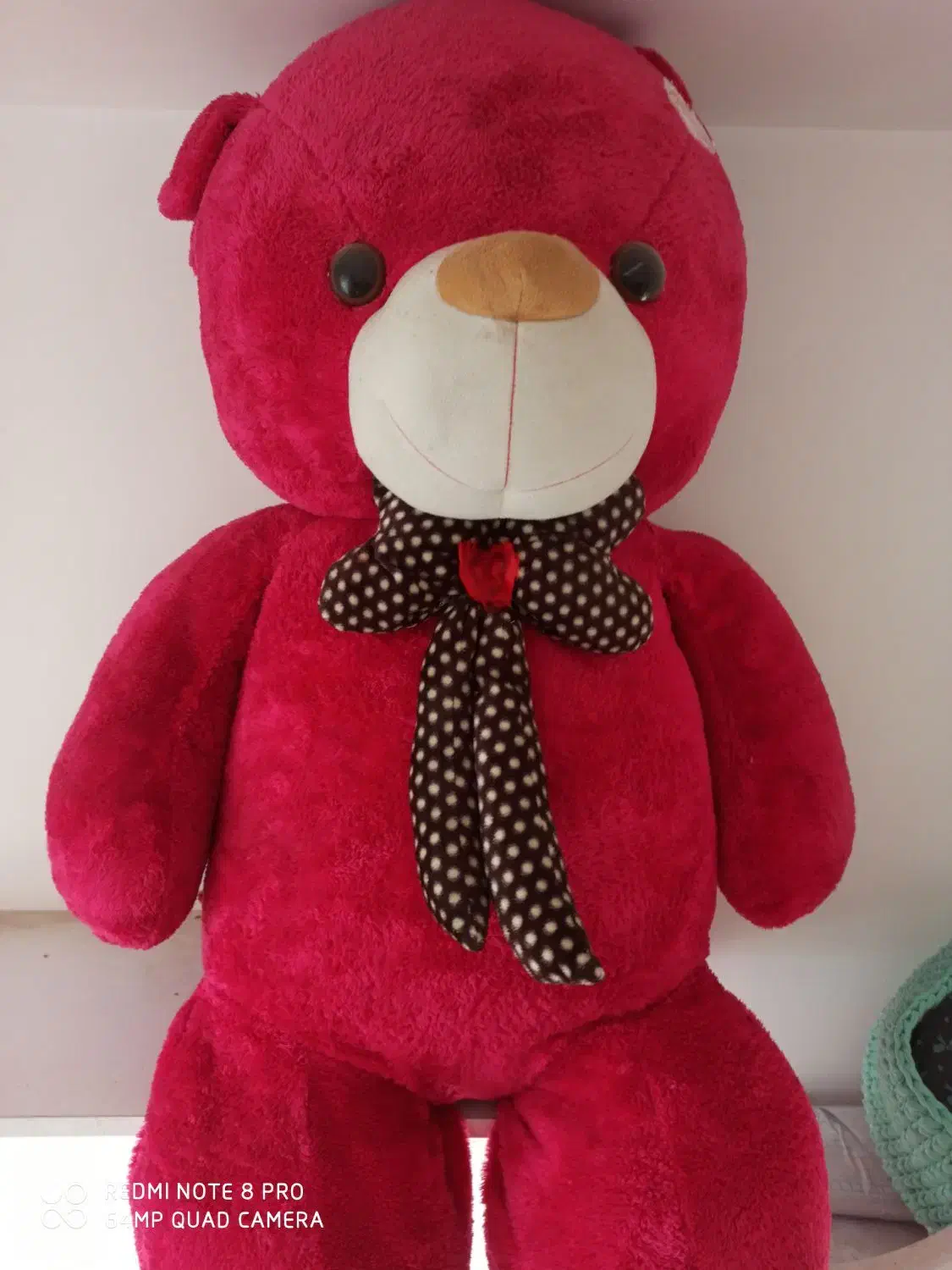 خرس بزرگ|اسباب‌بازی بچه|مشهد, طبرسی شمالی|دیوار