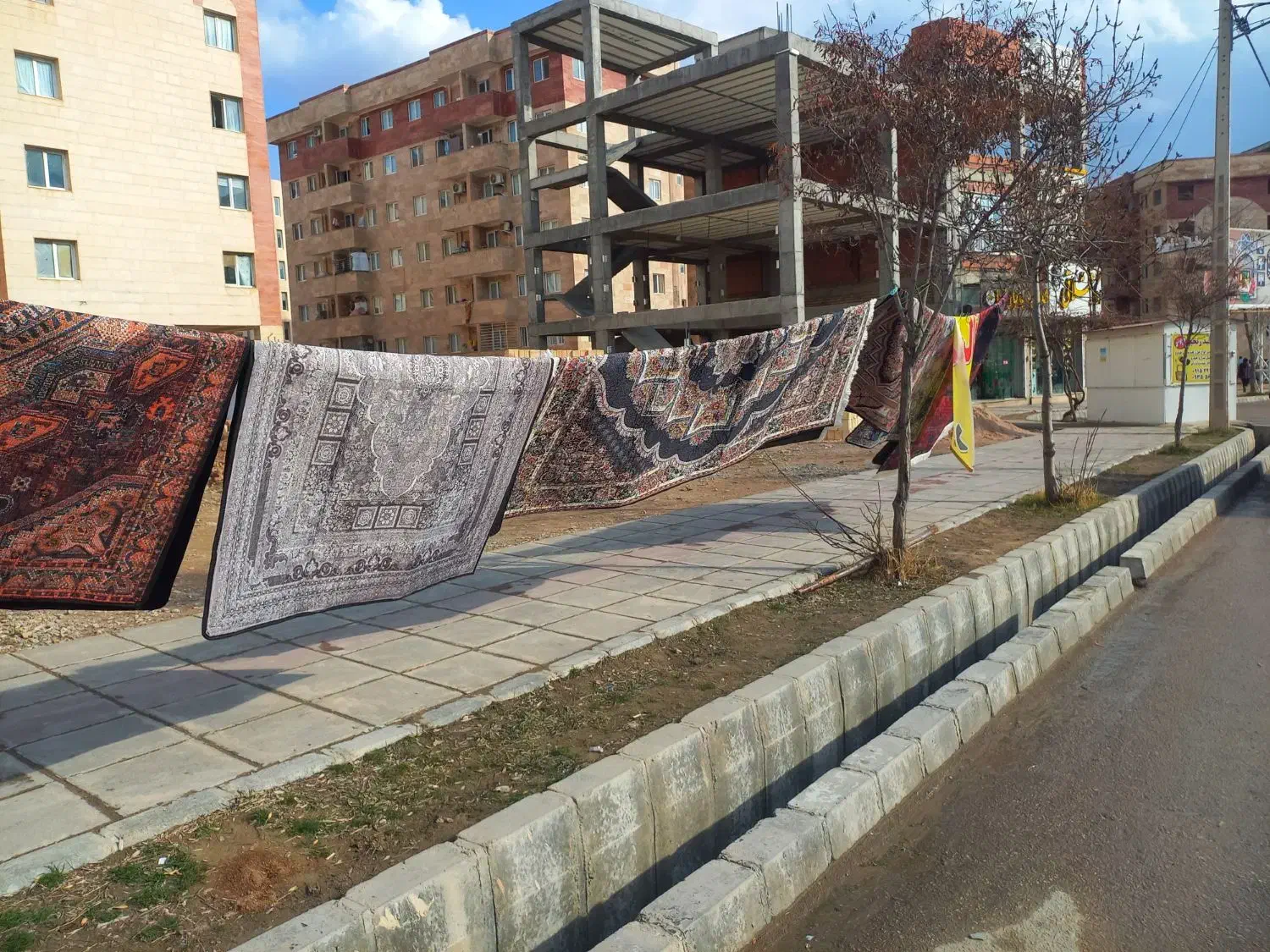 قالیچه نمدی|فرش|بجنورد, |دیوار