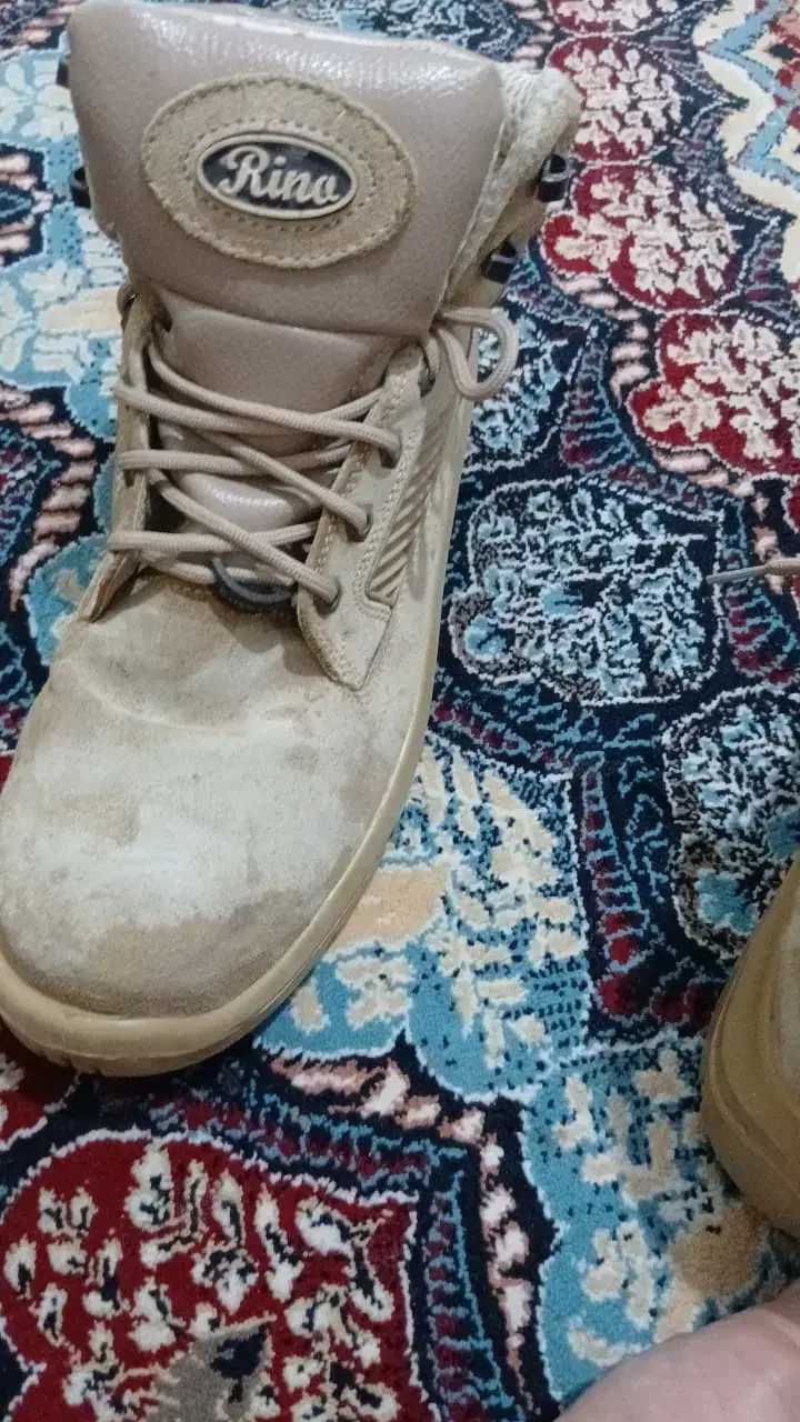 کفش کار|کیف، کفش، کمربند|اندیمشک, |دیوار