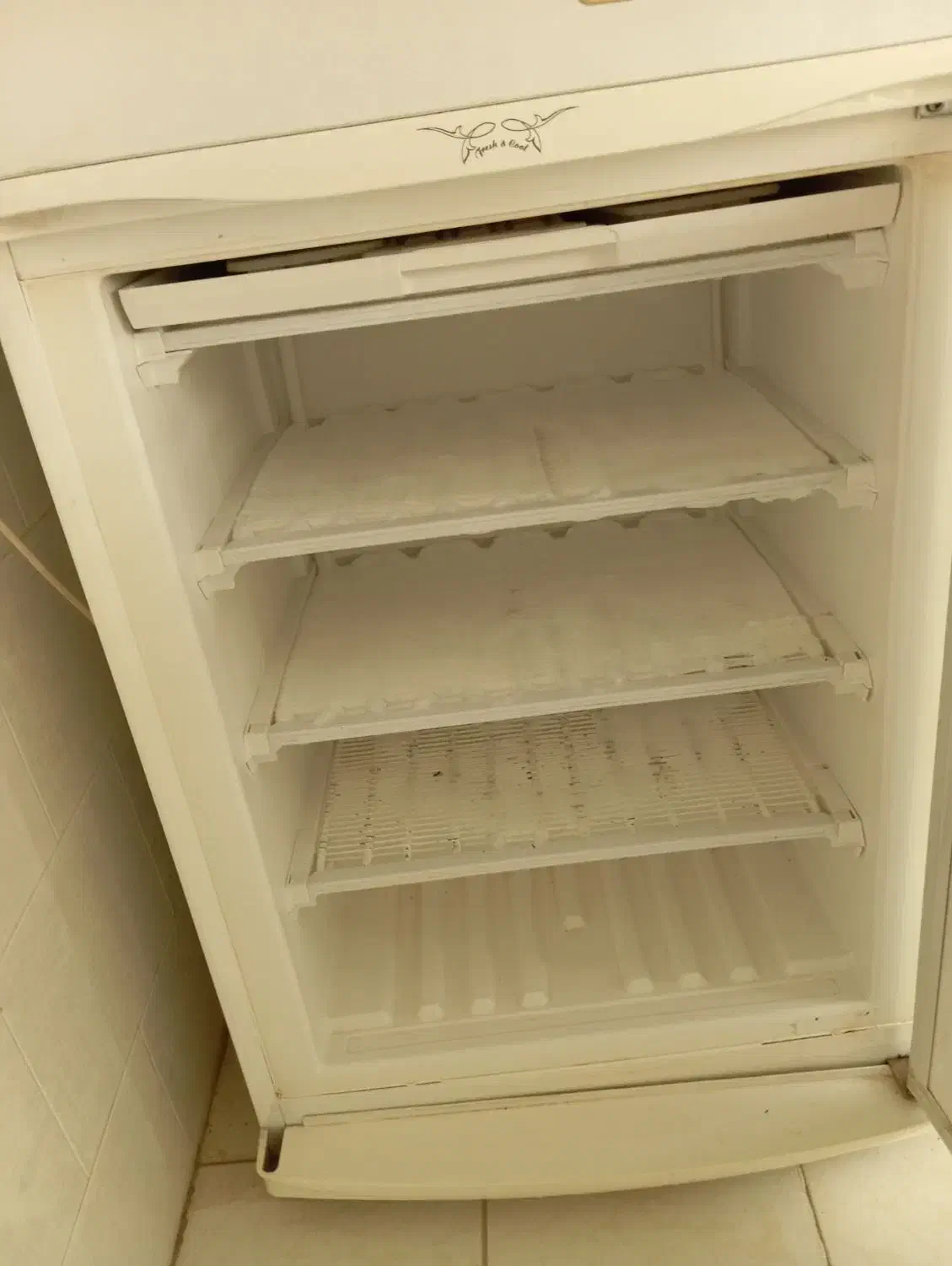 یخچال هیمالیا|یخچال و فریزر|شیراز, دروازه قران|دیوار