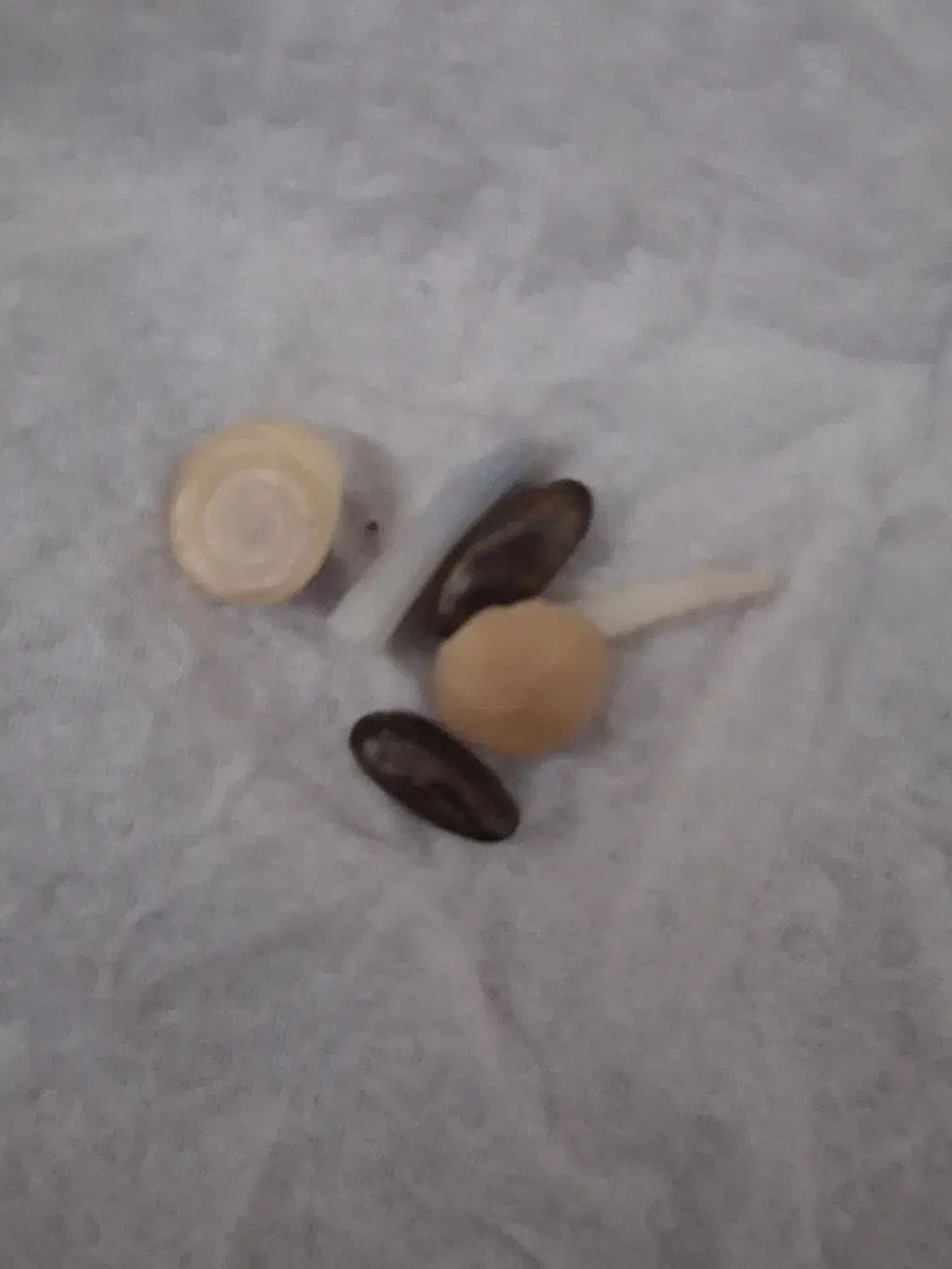 سنگ مار|جواهرات|امیدیه, |دیوار