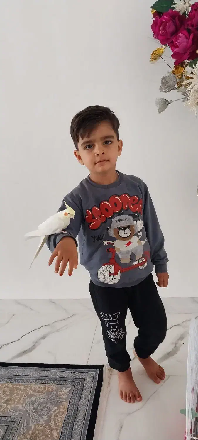 لوتینو|پرنده|ماهدشت, |دیوار