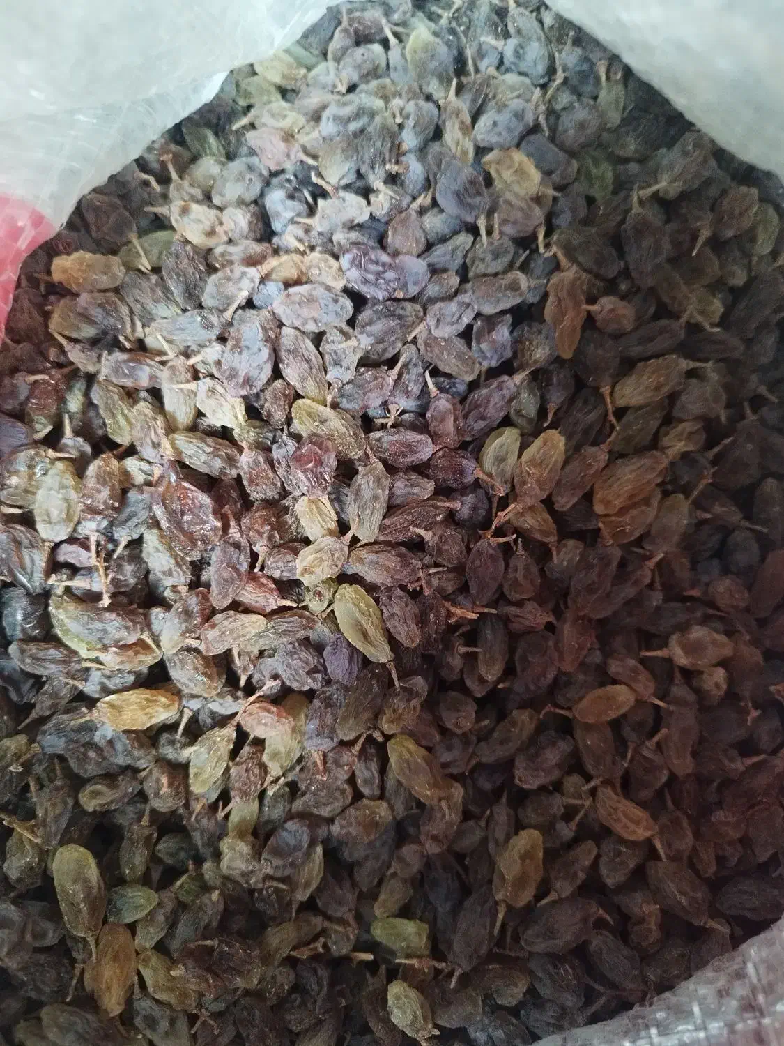 کشمش بندی سبز امسالی|خوردنی و آشامیدنی|فرخشهر, |دیوار