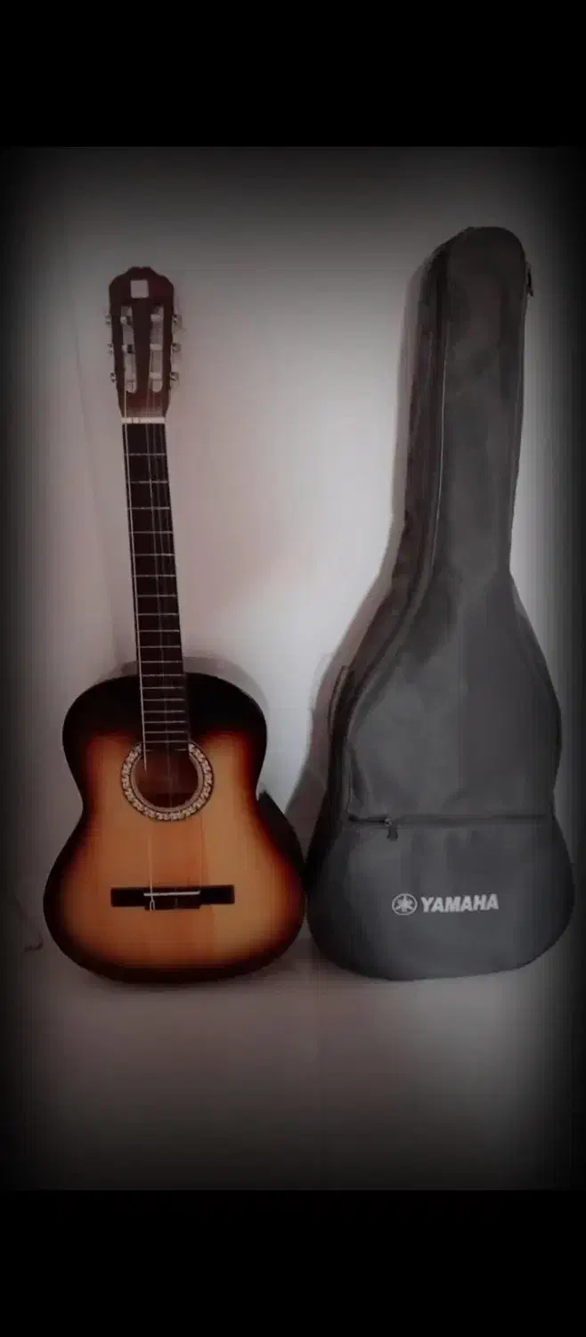 گیتار|گیتار، بیس، امپلیفایر|مشهد, ثامن|دیوار