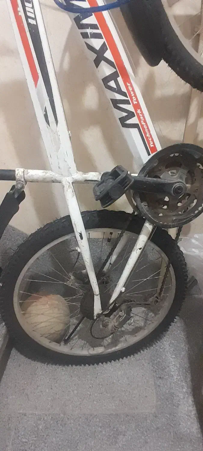 دوچرخه ۲۴ دنده ای|دوچرخه، اسکیت، اسکوتر|پاکدشت, پاکدشت (مامازند)|دیوار