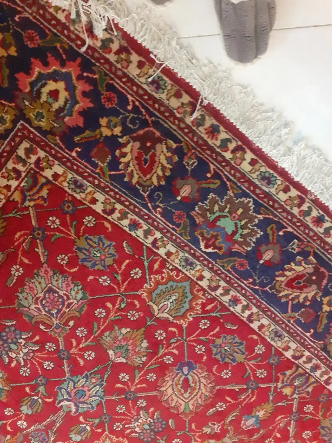 فرش دستبافت ۱۲متری|فرش|بابل, |دیوار