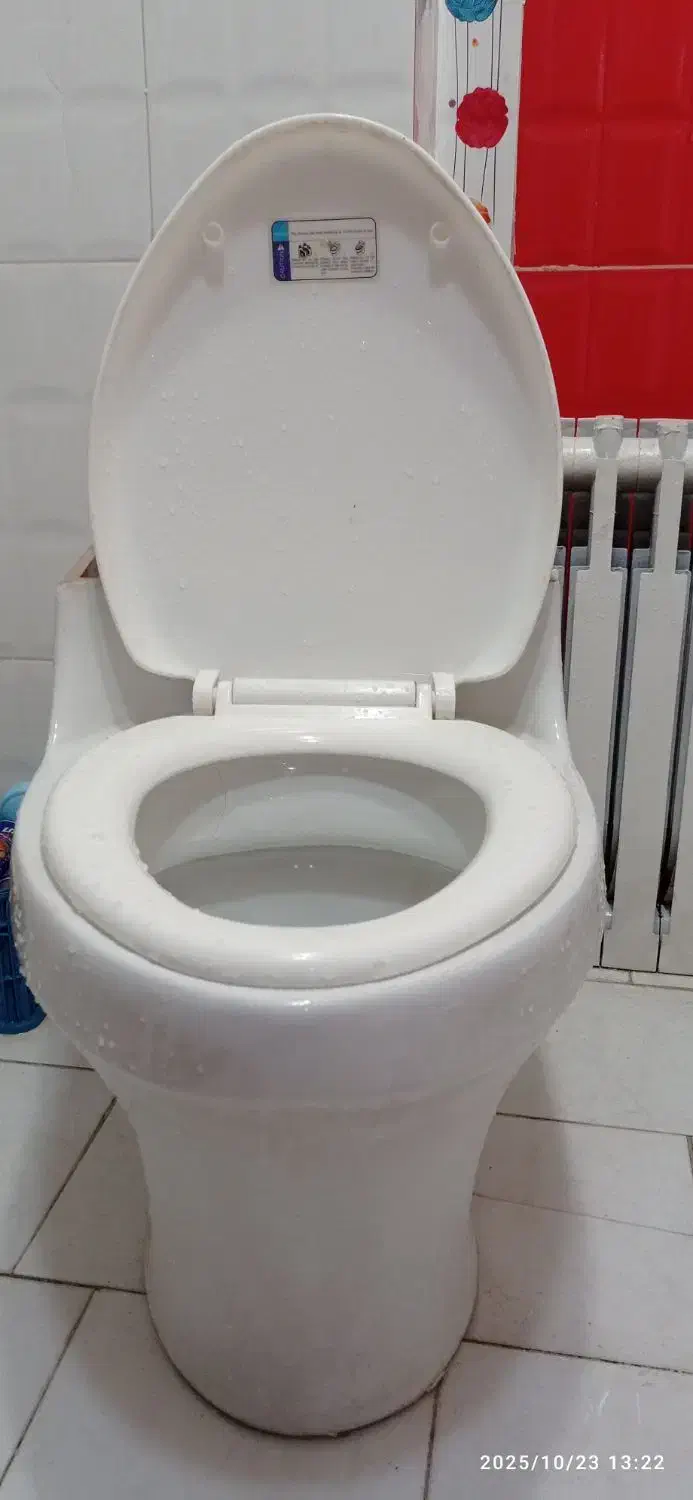 توالت فرنگی دستشویی فرنگی|لوازم سرویس بهداشتی|تهران, آهنگ|دیوار