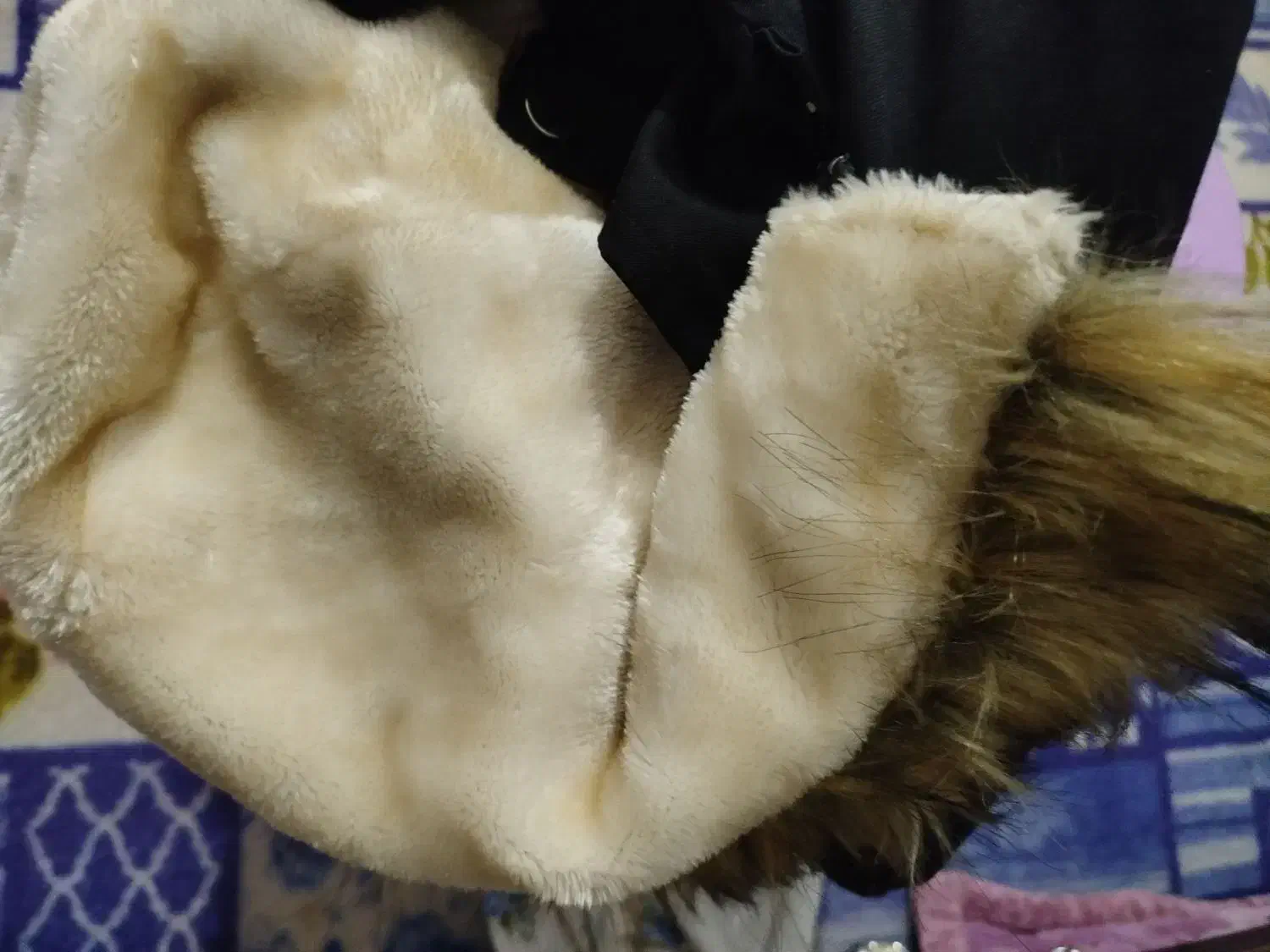 پالتو|لباس|مشهد, شهید علی محمدی|دیوار