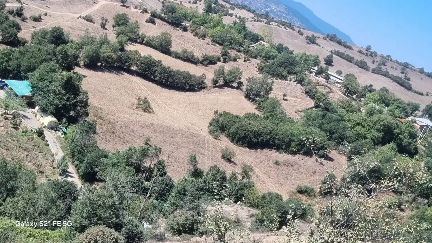 ۱۵۰۰مترمربع زمین دارای مجوز تاسیس گلخانه طالکوه|فروش زمین و ملک کلنگی|بره‌سر, |دیوار