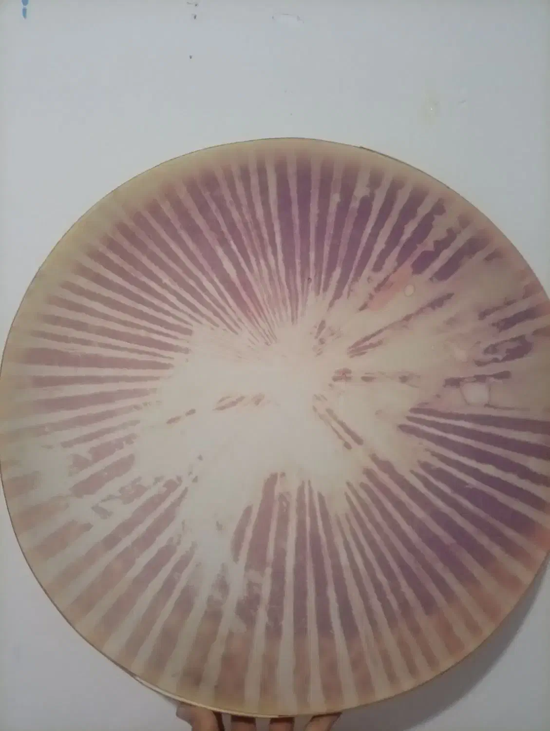 دف نو|سازهای سنتی|اصفهان, عاشق‌آباد|دیوار